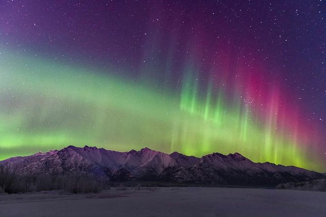 Aurora Borealis over a snowy landscape